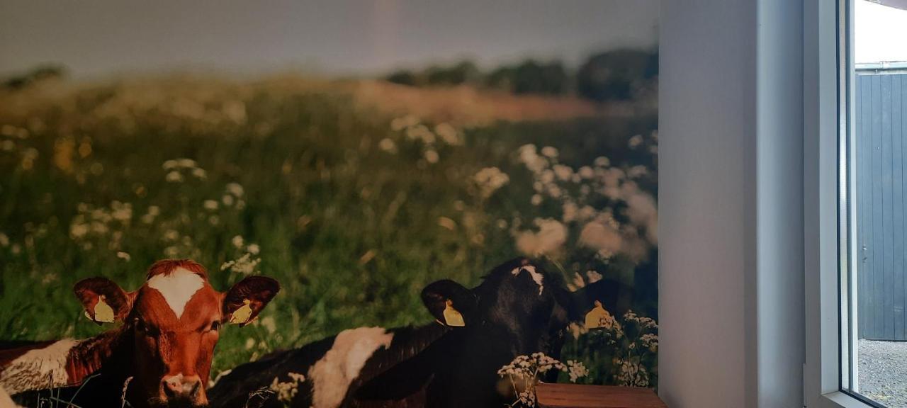 Вілла La Vache Au Lit Дамме Екстер'єр фото