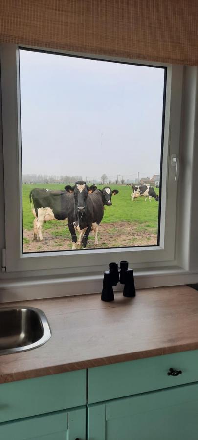 Вілла La Vache Au Lit Дамме Екстер'єр фото