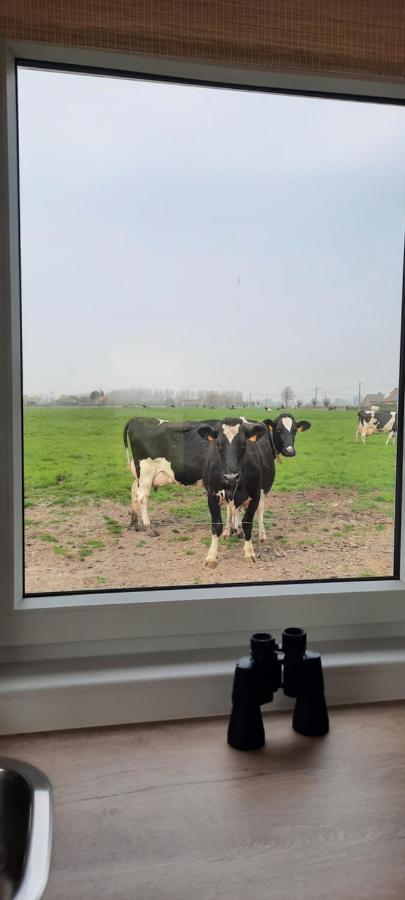 Вілла La Vache Au Lit Дамме Екстер'єр фото